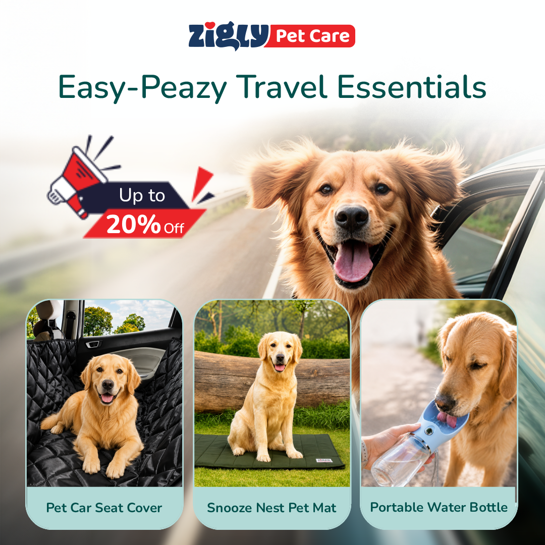 Zigly Facebook ad