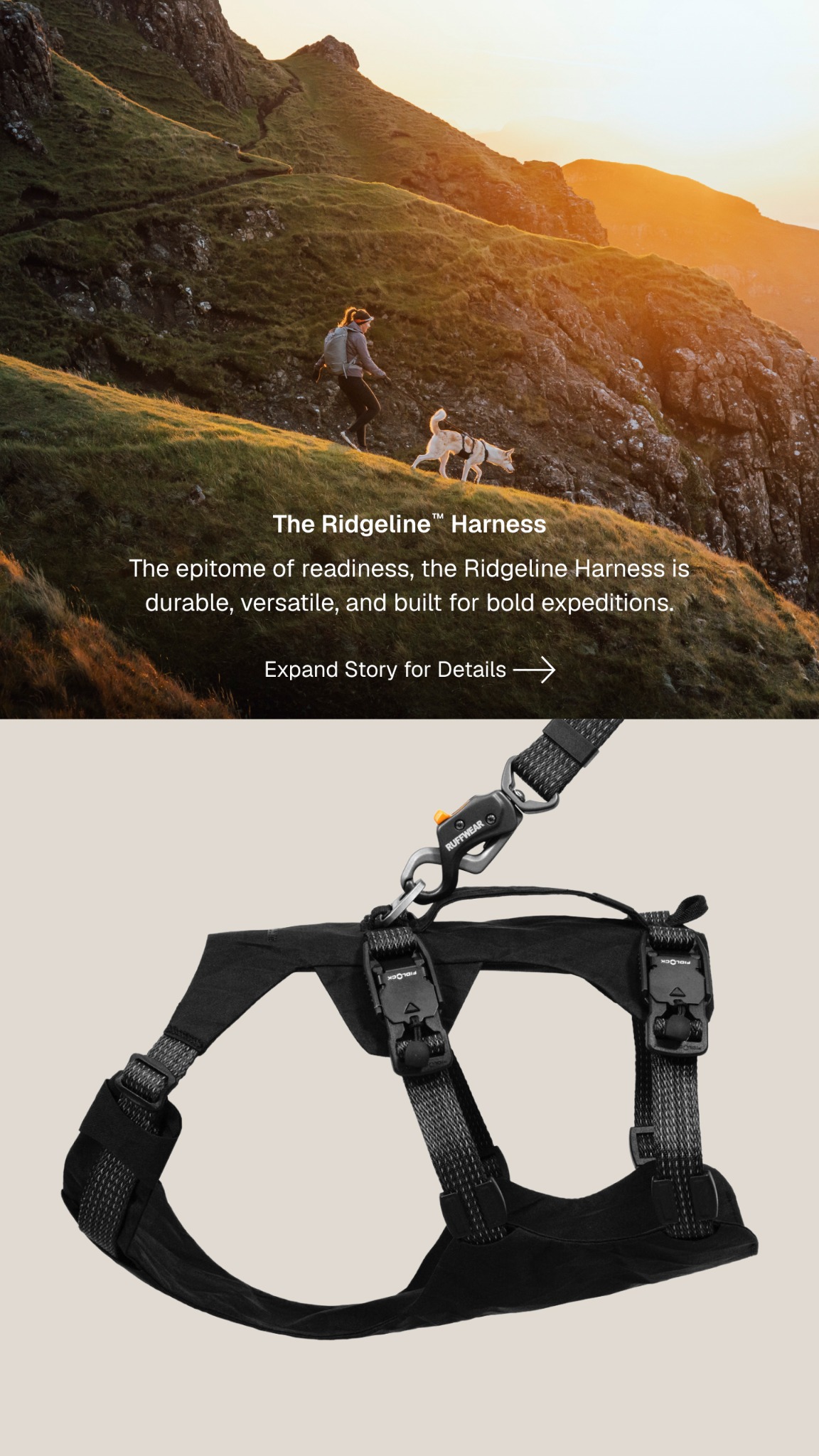 Ruffwear Facebook ad