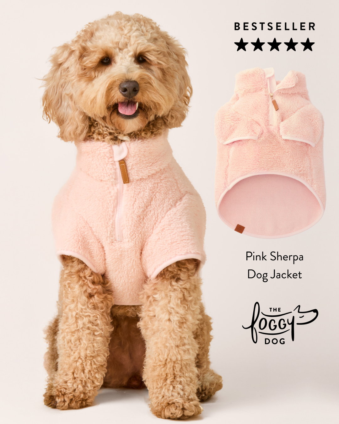 The Foggy Dog Facebook ad