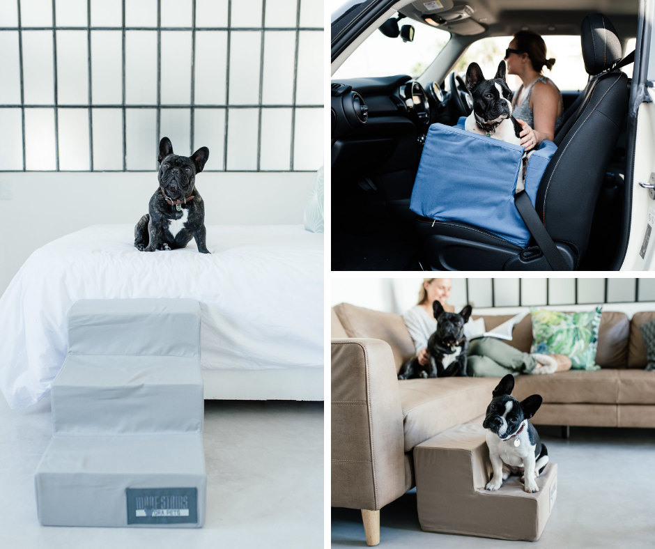 Ora Pets Facebook ad