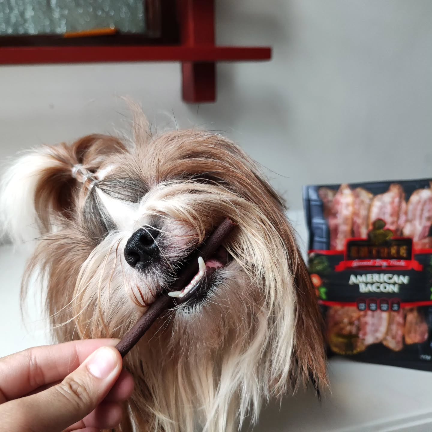 Entrée Gourmet Pet Treats Facebook ad