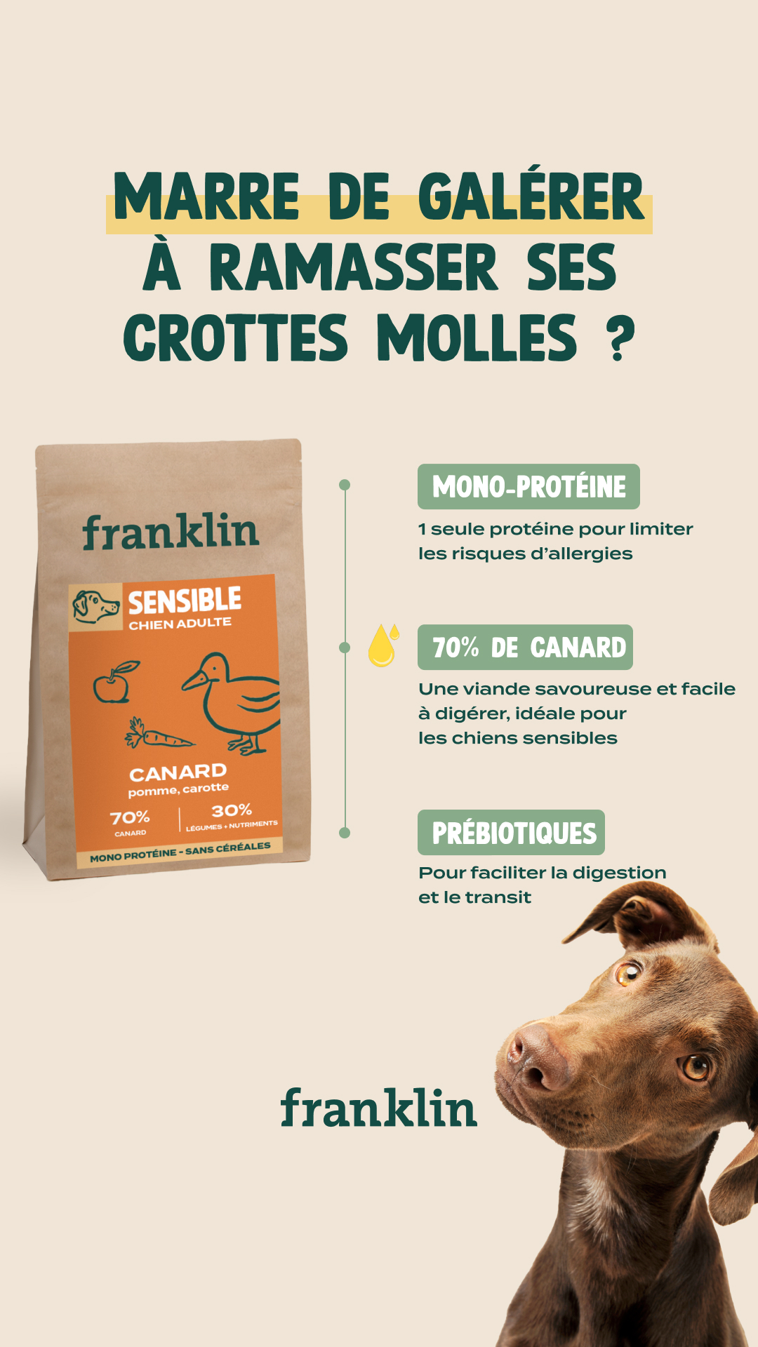 Franklin Pet Food Facebook ad