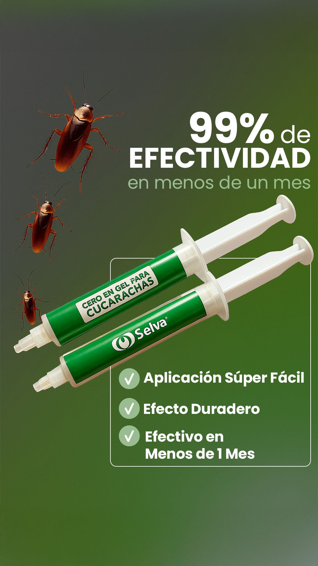 Selva  Facebook ad