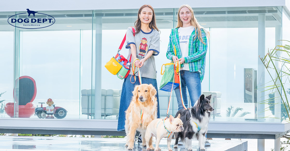 DOG DEPT Facebook ad