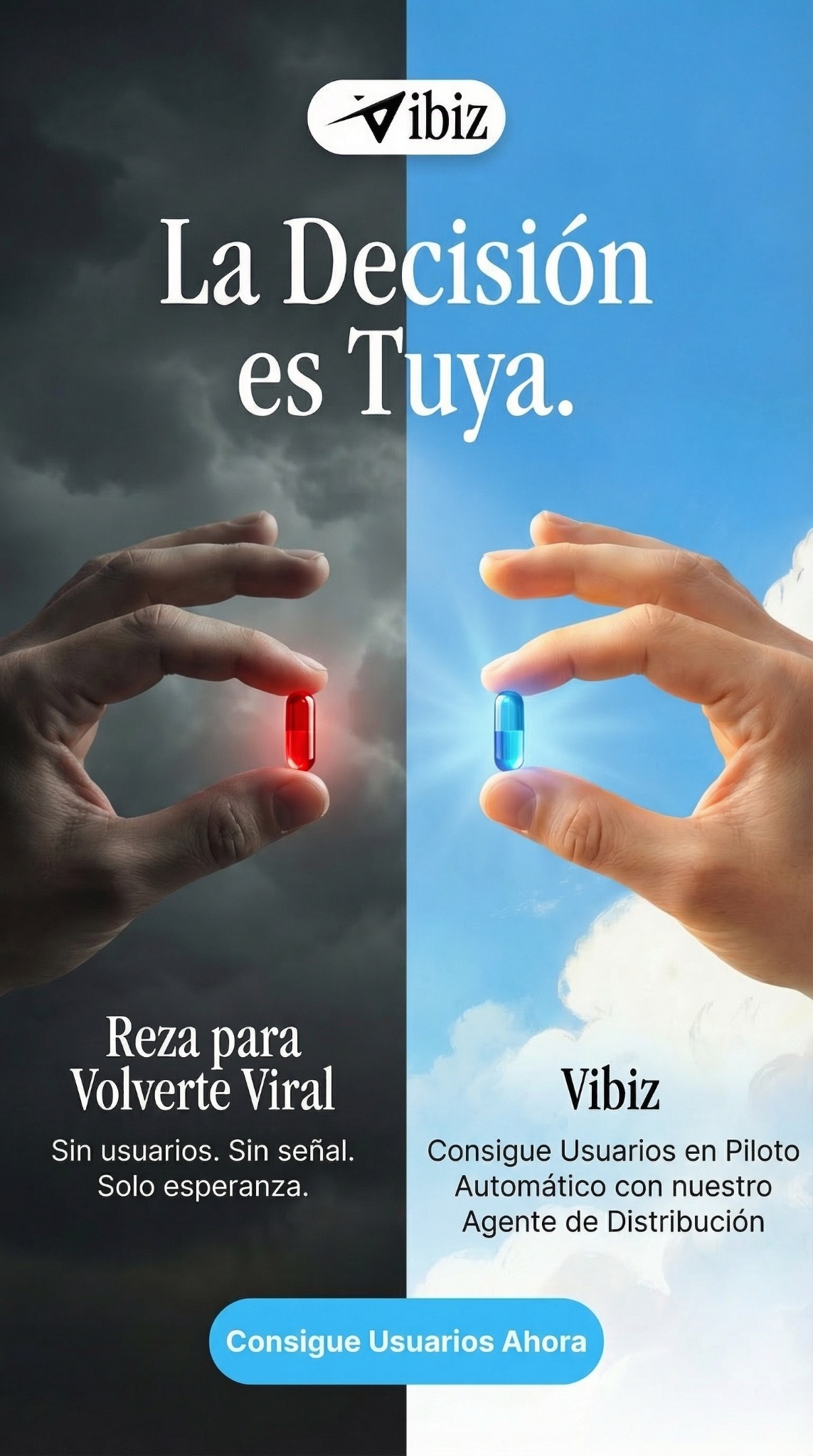 Vibiz Facebook ad