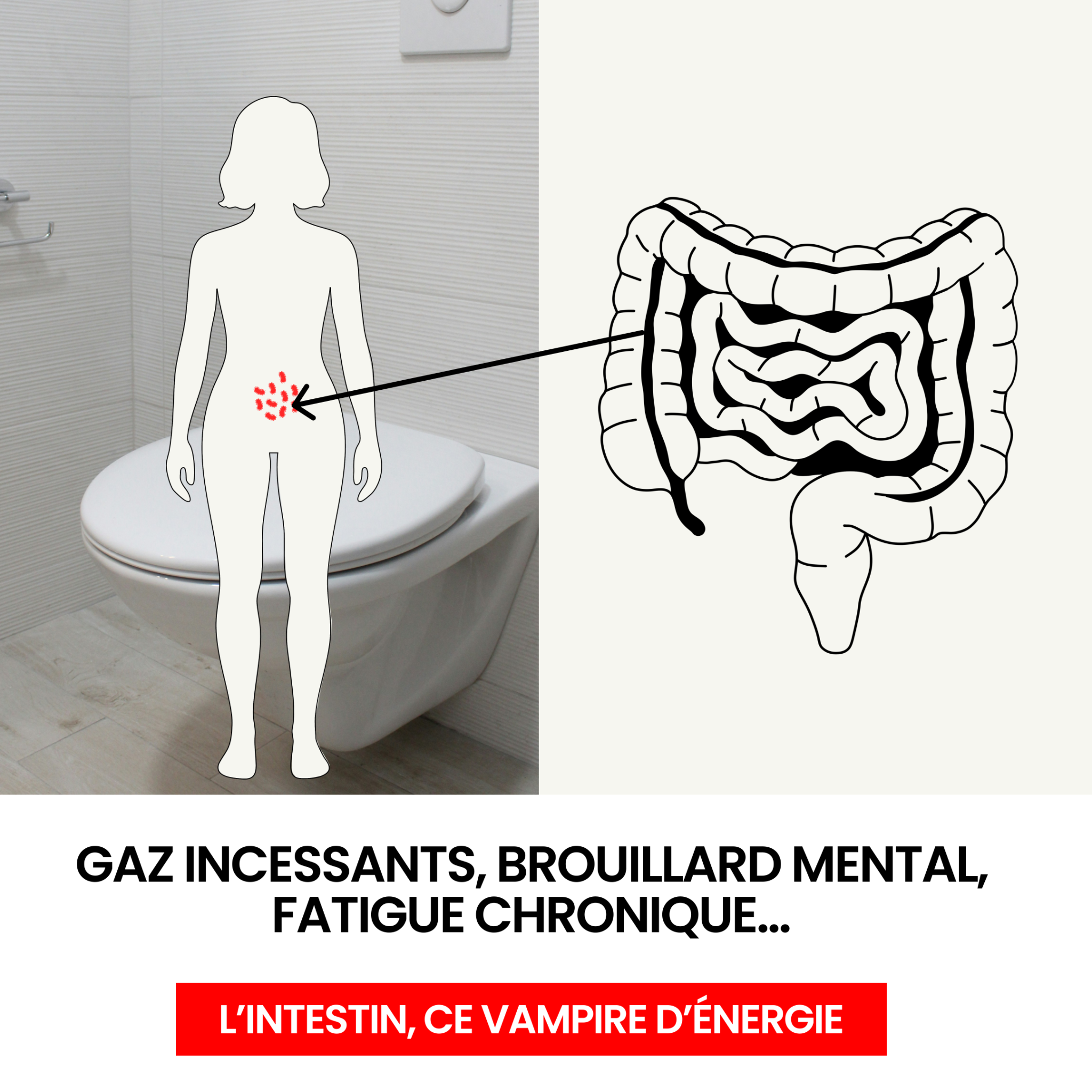 Conseils bien-être Facebook ad