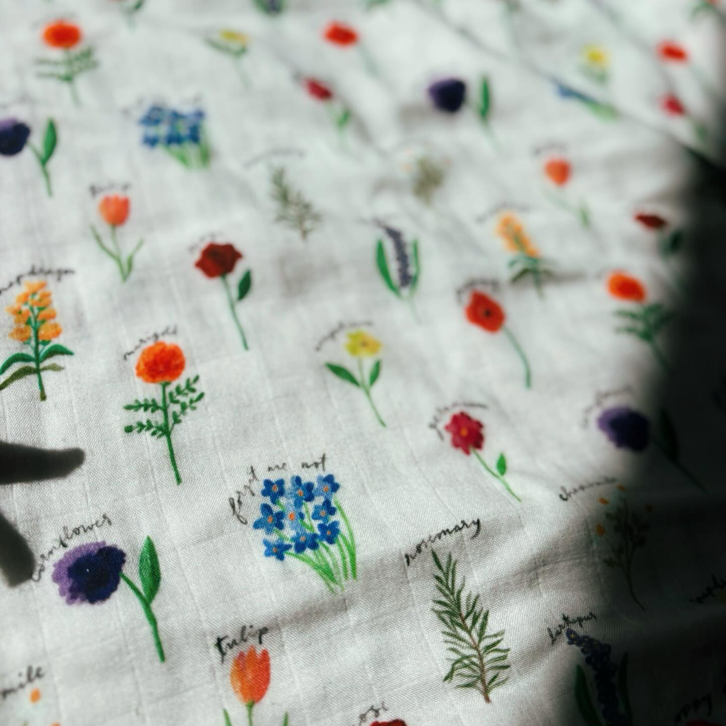 Fawnly Facebook ad: These are the softest blankets in sizes mini…