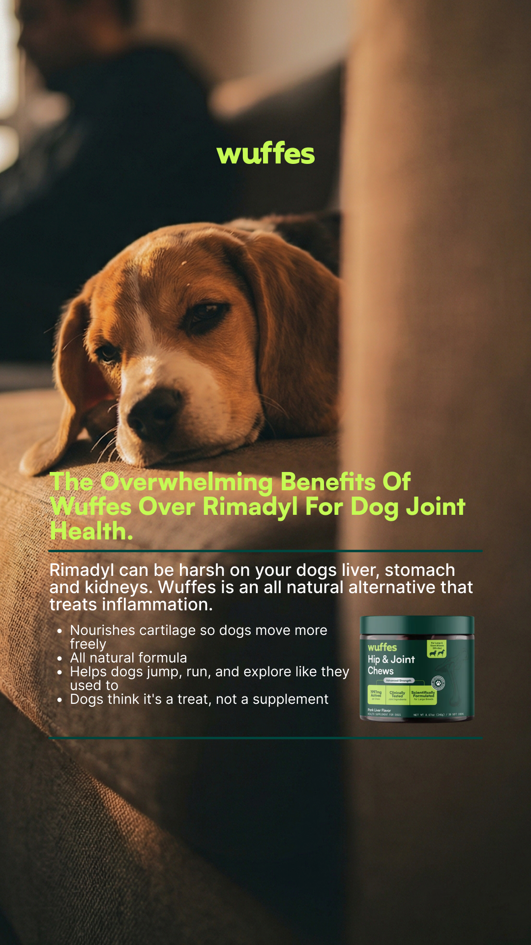 Everyday Pet Health Facebook ad