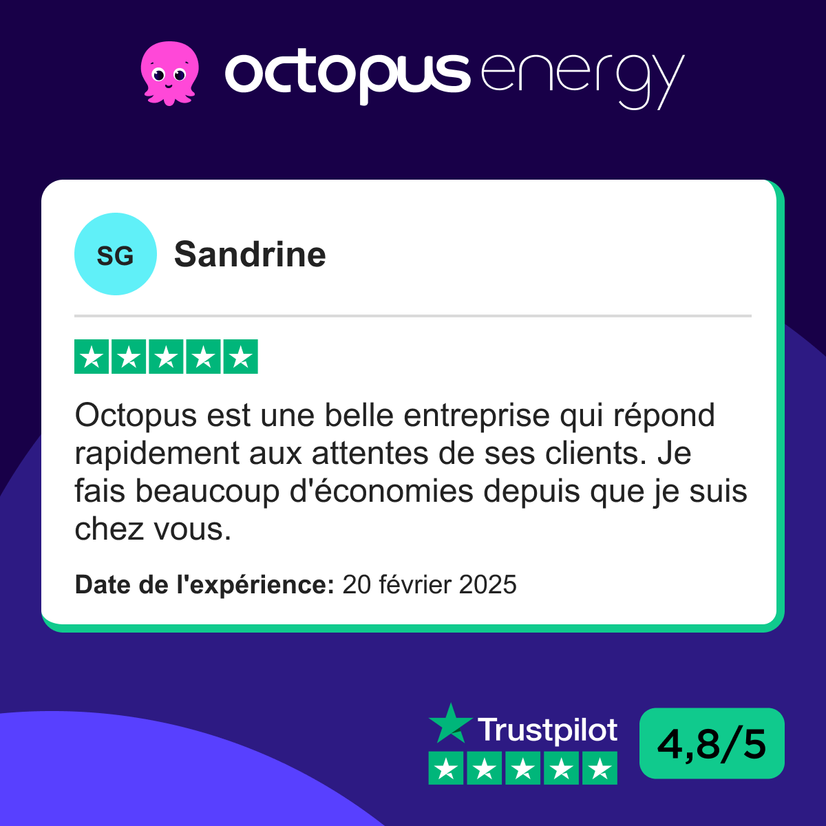 Octopus Energy Facebook ad