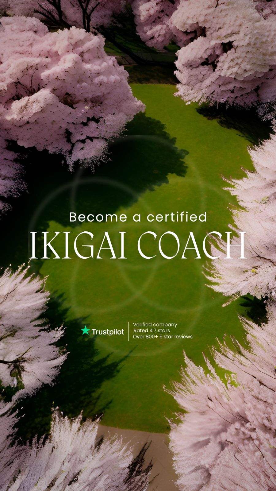 Efficient Coach Facebook ad