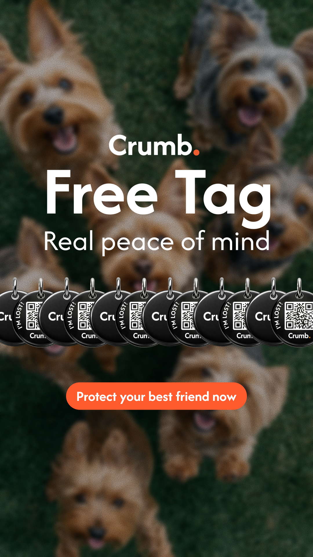 Crumb. Facebook ad