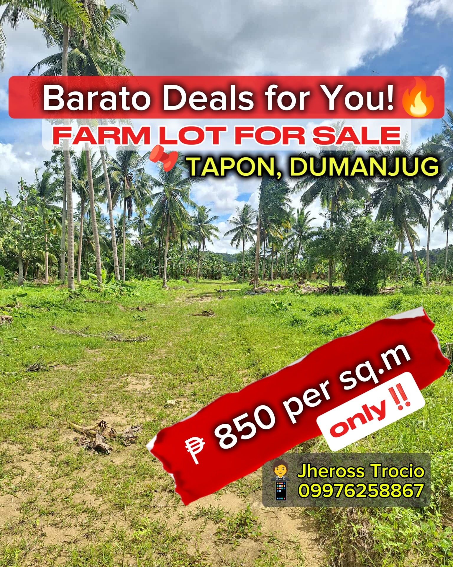 Dream Home Properties Cebu Facebook ad