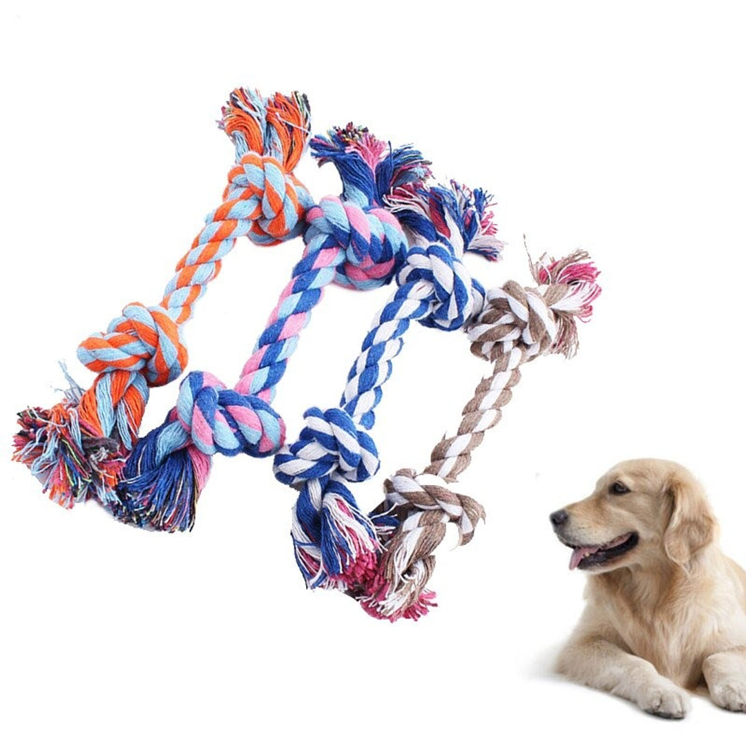 The Bow point ~ (Pet accessories) Facebook ad