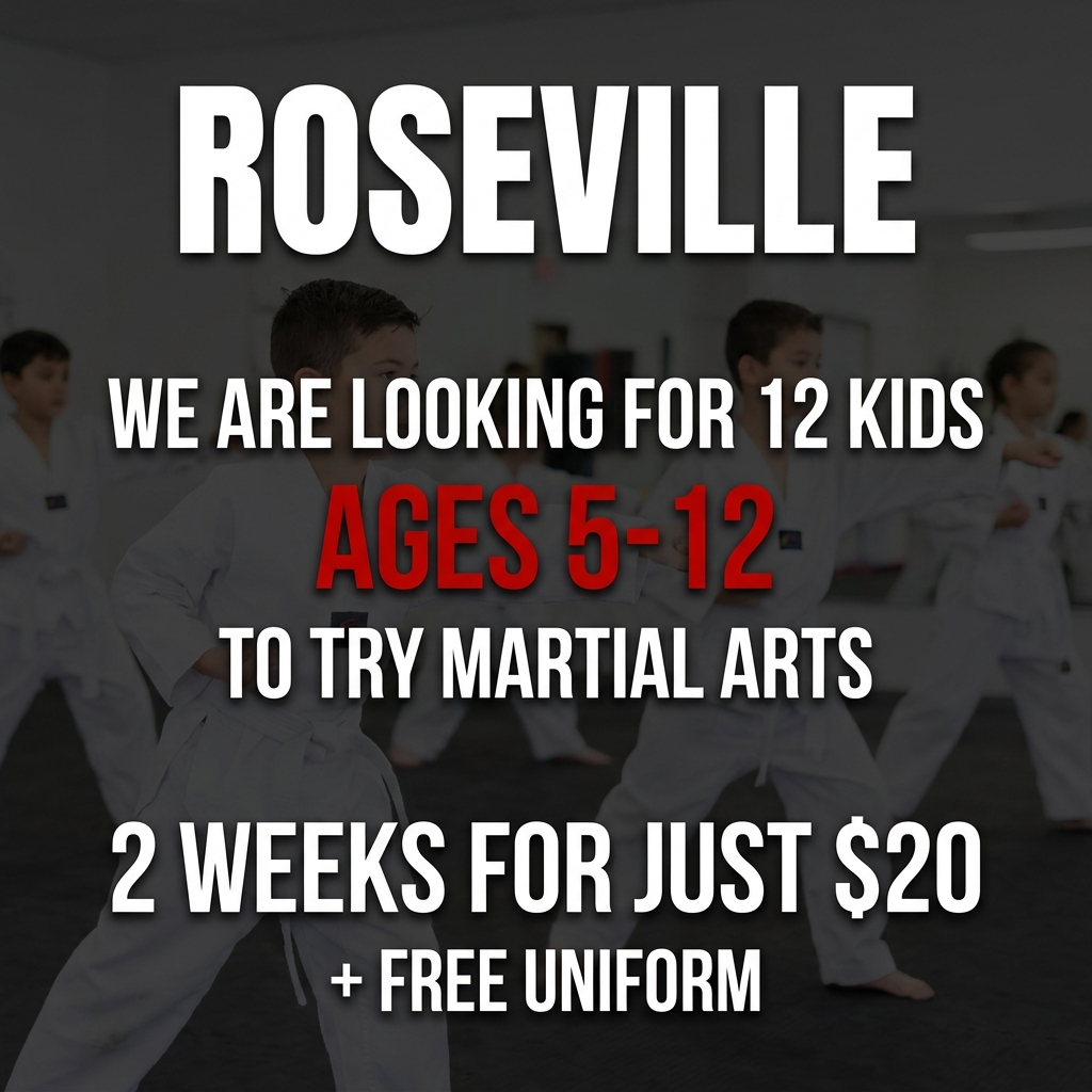 Roseville Academy - Family Taekwondo Facebook ad: Family Martial Arts!