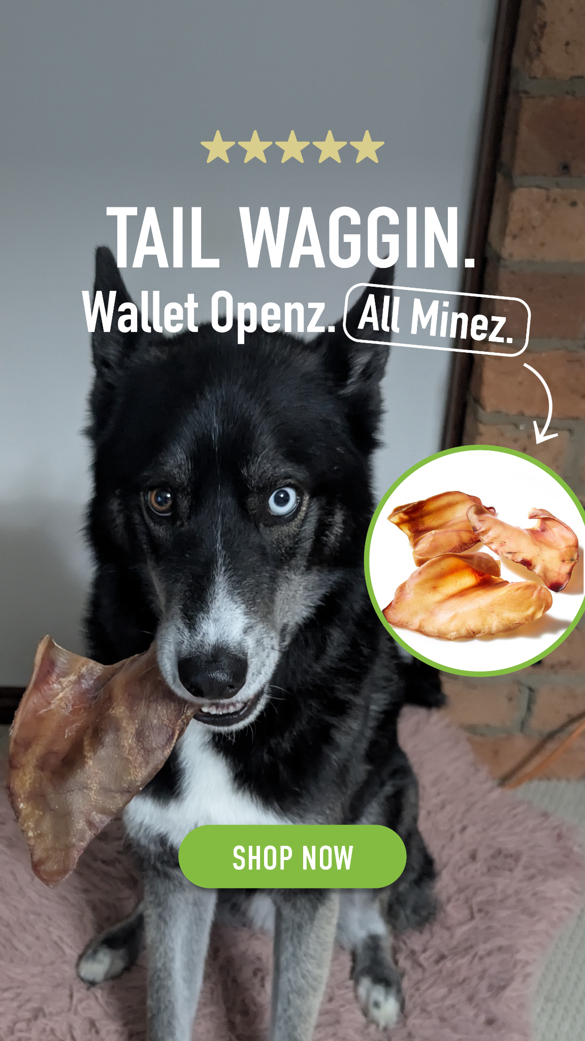 CLEAR Dog Treats Facebook ad