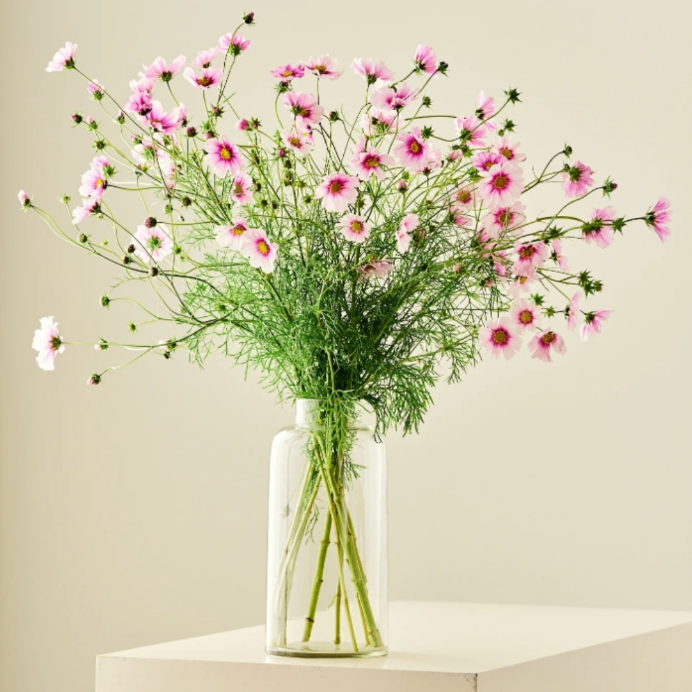 Frk. Grønt - salg af blomsterfrø Facebook ad: Dyrk selv de flotteste blomster