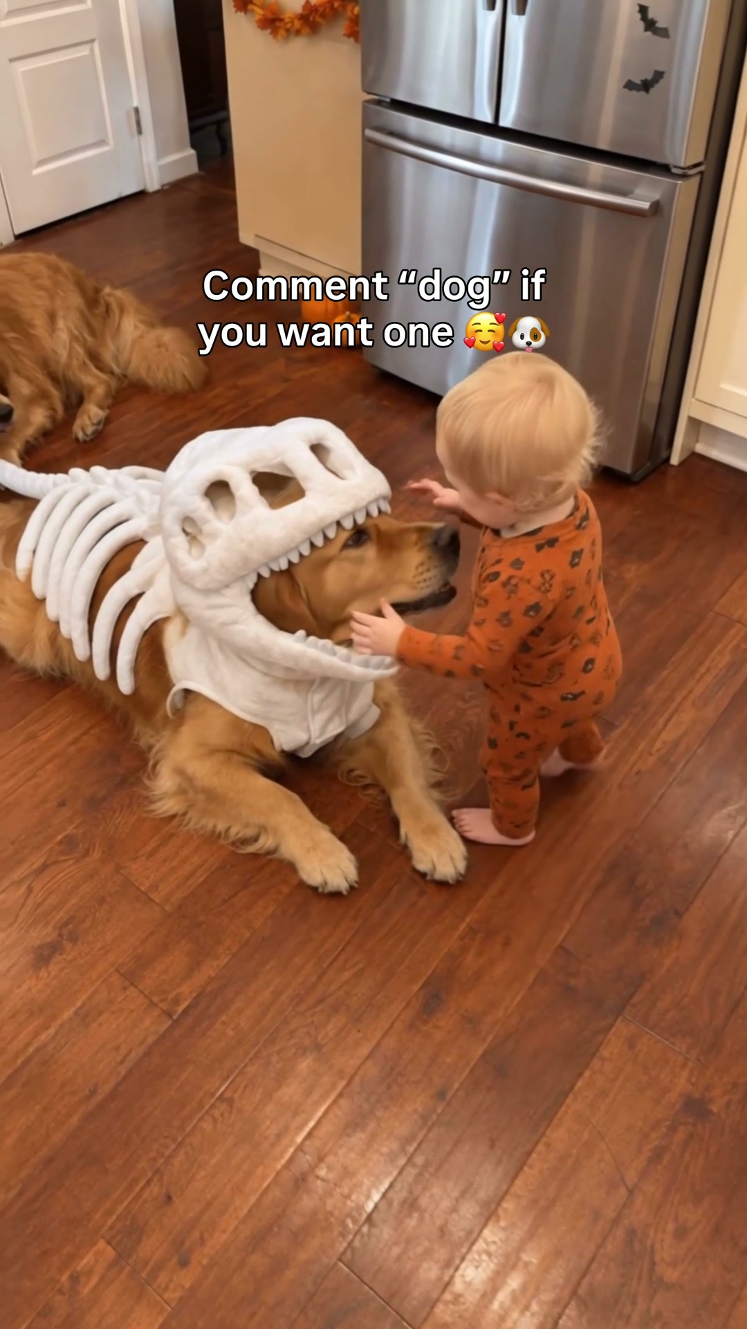 Paw Tumble Facebook ad: Don't Miss Halloween This Year!