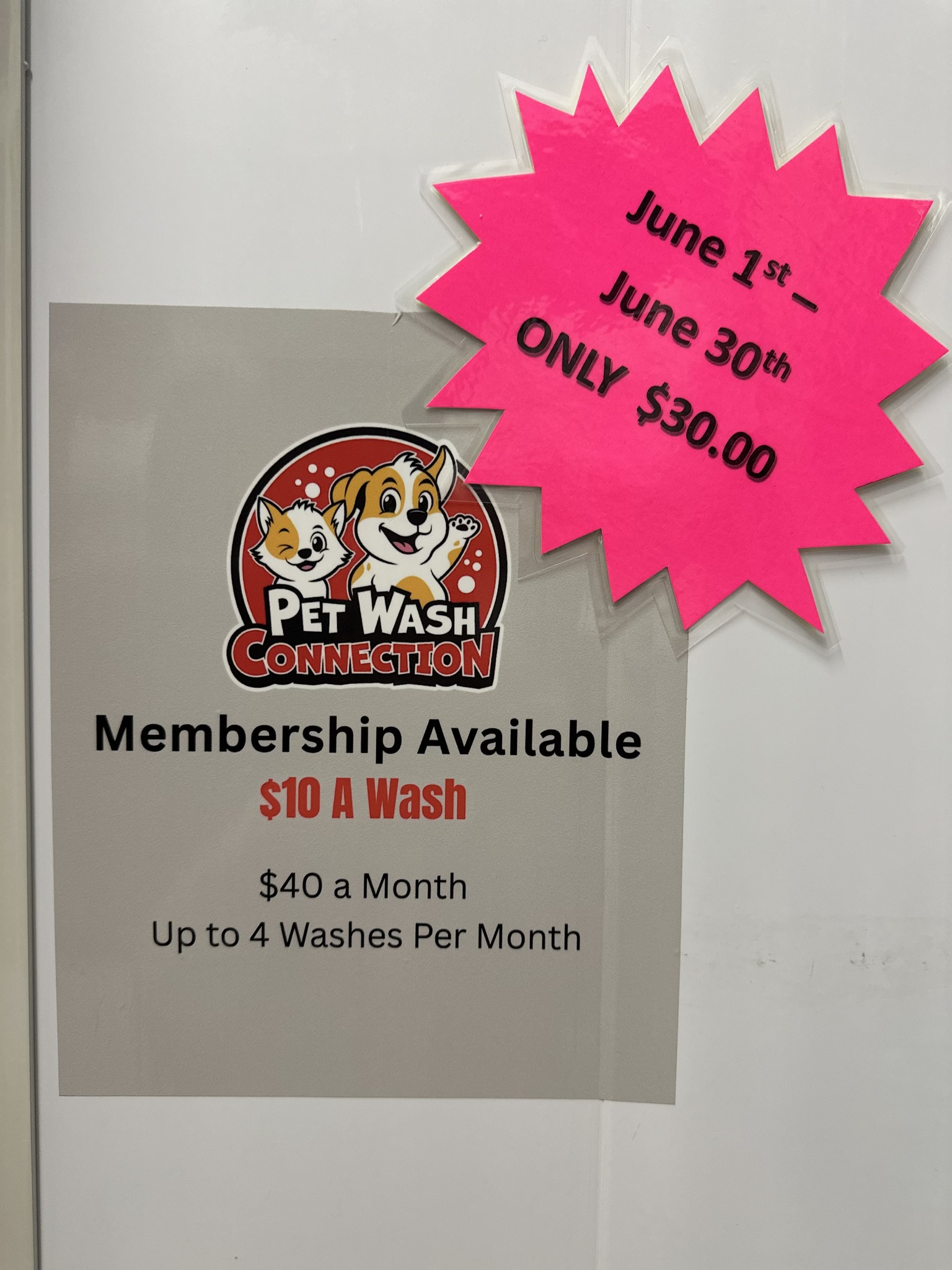 Salty Suds Pet Wash Facebook ad: BEST DEAL OF THE YEAR!
