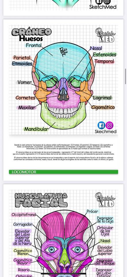 IA Programas Facebook ad: ¡𝗣𝗮𝗾𝘂𝗲𝘁𝗲 MEDICINA Y ENFERMERIA 𝗽𝗿𝗼𝗳𝗲𝘀𝗶𝗼𝗻𝗮𝗹