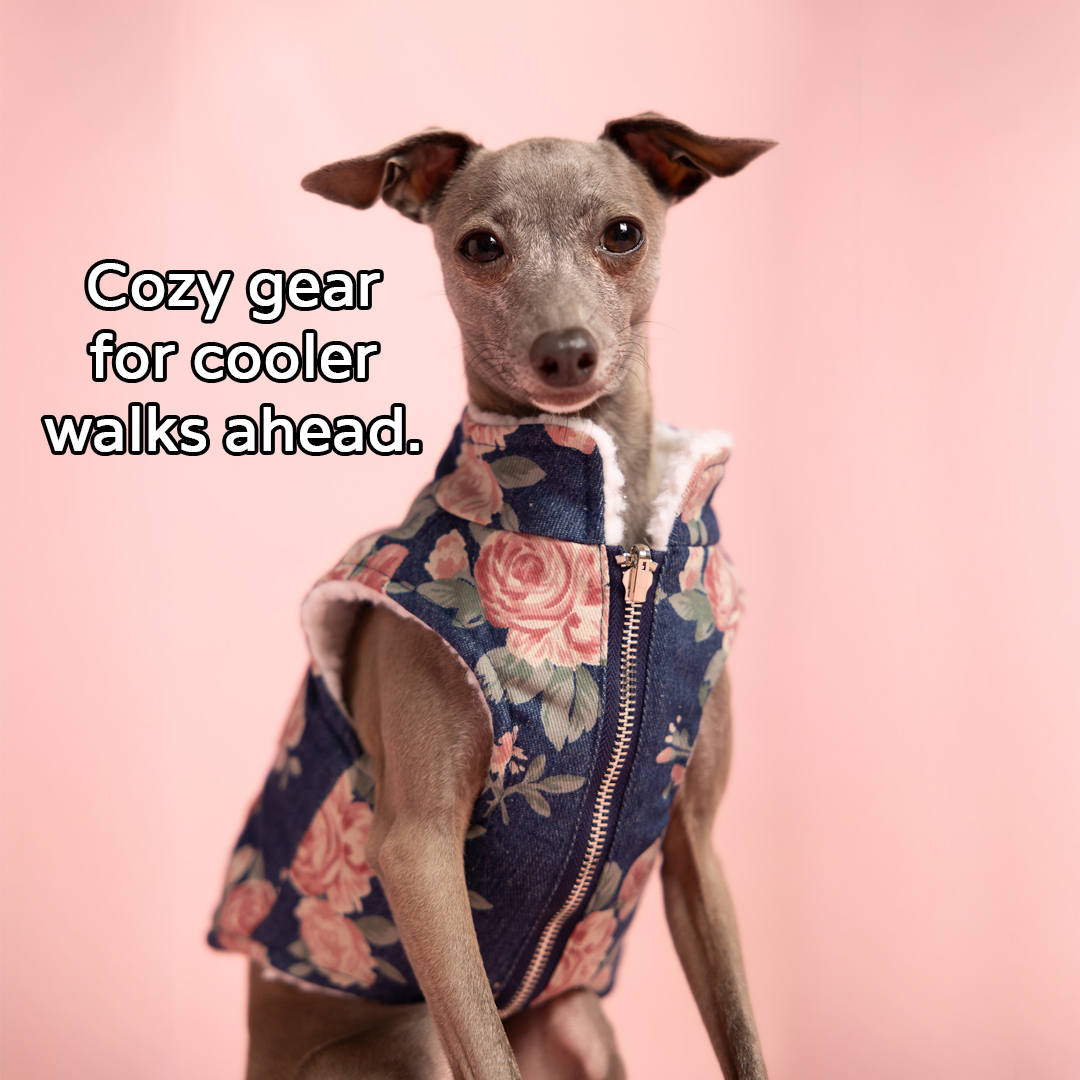Lucy & Co. Facebook ad: Fall's Most Loved Reversible Vest
