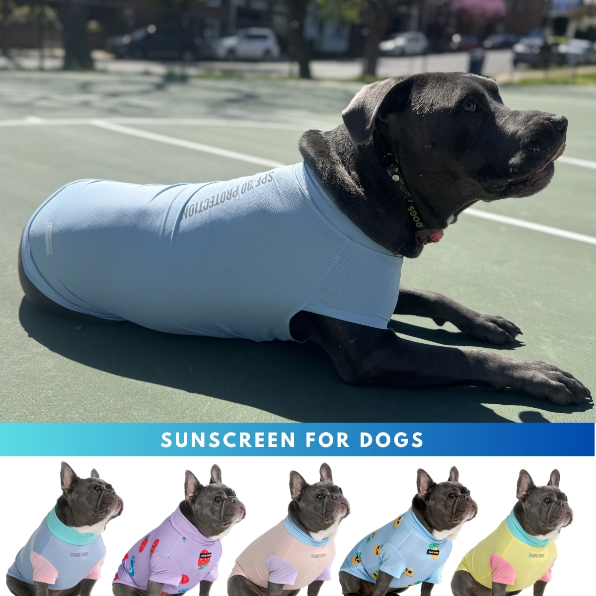 Spark Paws Facebook ad