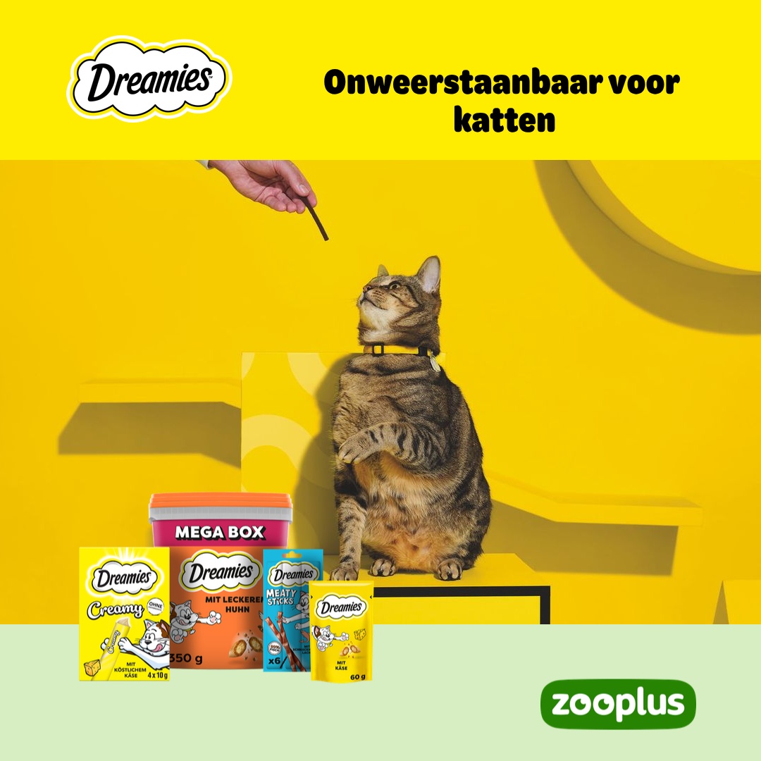 zooplus Facebook ad: DREAMIES