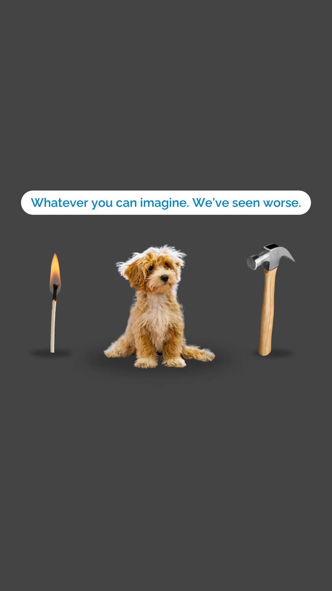 RSPCA South Australia Facebook ad