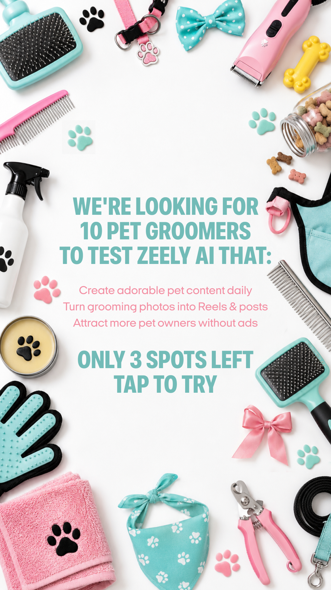 Zeely Facebook ad