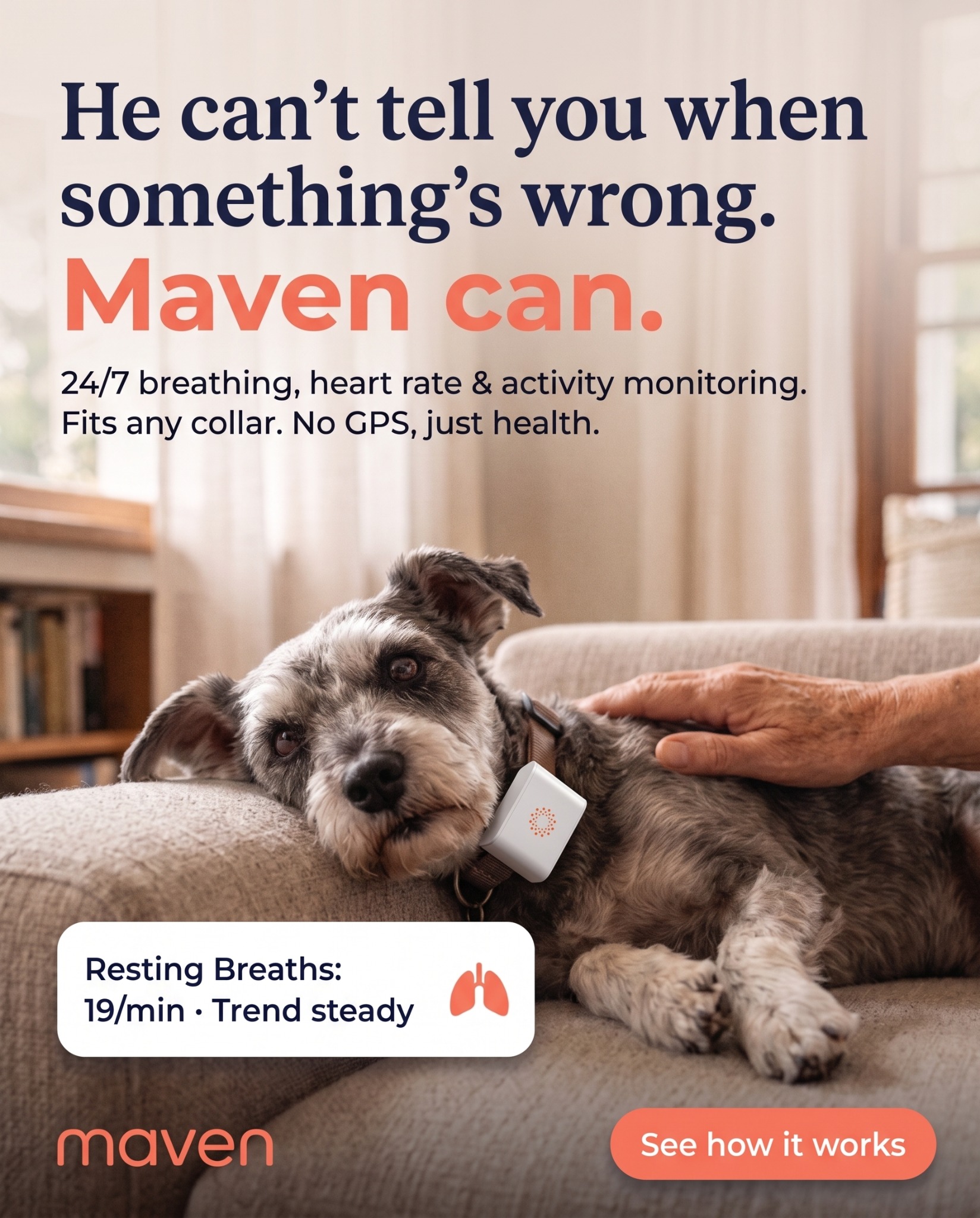 Maven Pet Facebook ad