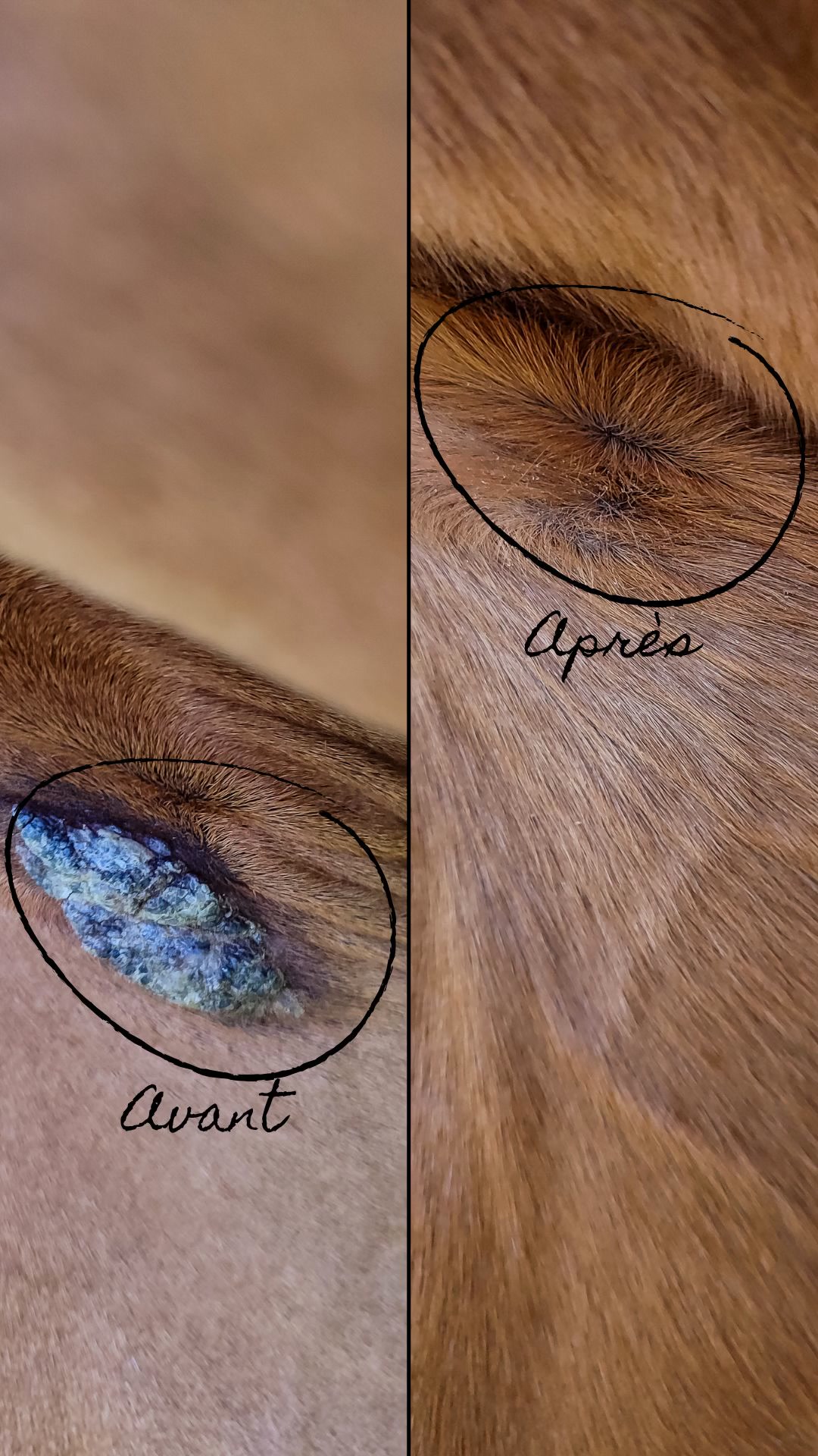 Cura naturale Facebook ad: Note 4,9/5 - Huile excroissance cutanée