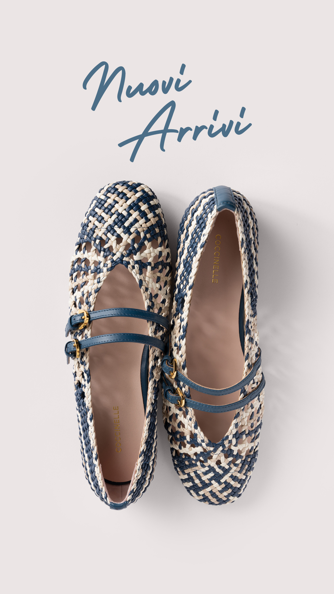 COCCINELLE Facebook ad