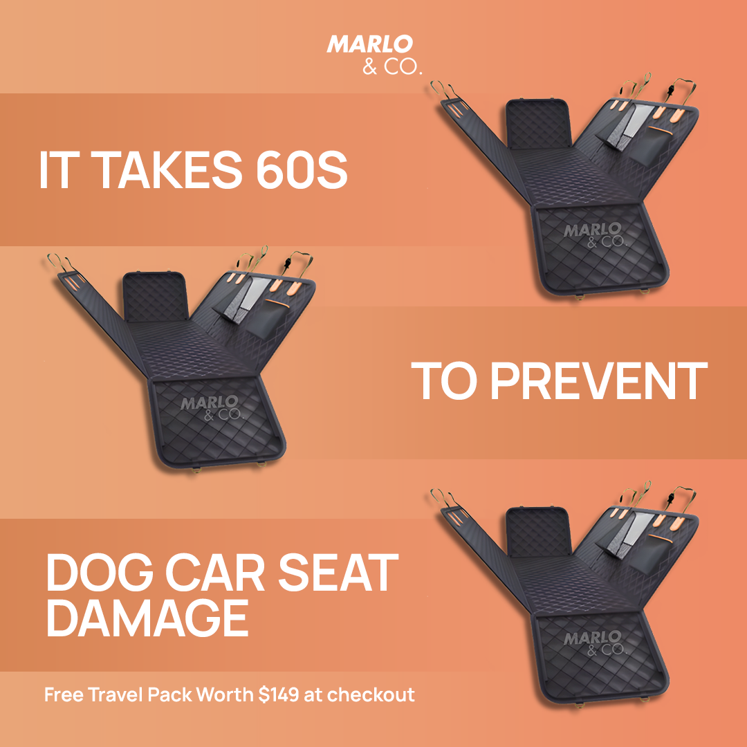 Marloandco Facebook ad