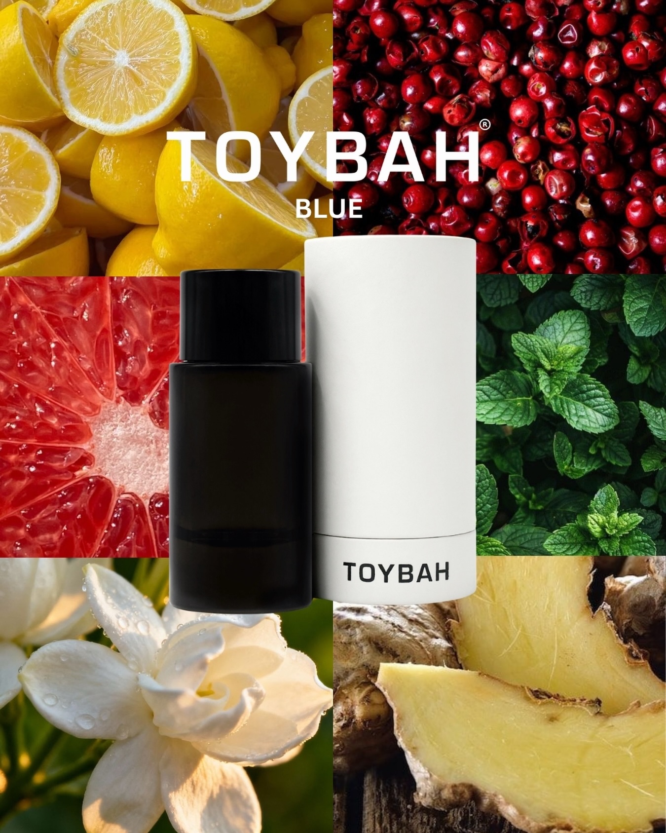 TOYBAH Facebook ad: Blue 50ml/100ml - Niche Perfume - South Africa