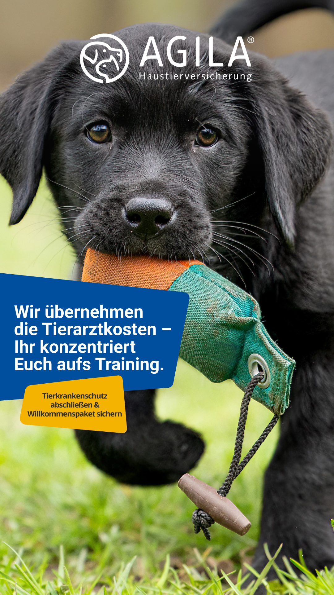 AGILA Haustierversicherung Facebook ad: Willkommenspaket für Deinen Welpen