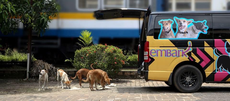 Embark Facebook ad: We work hard each day to make a…