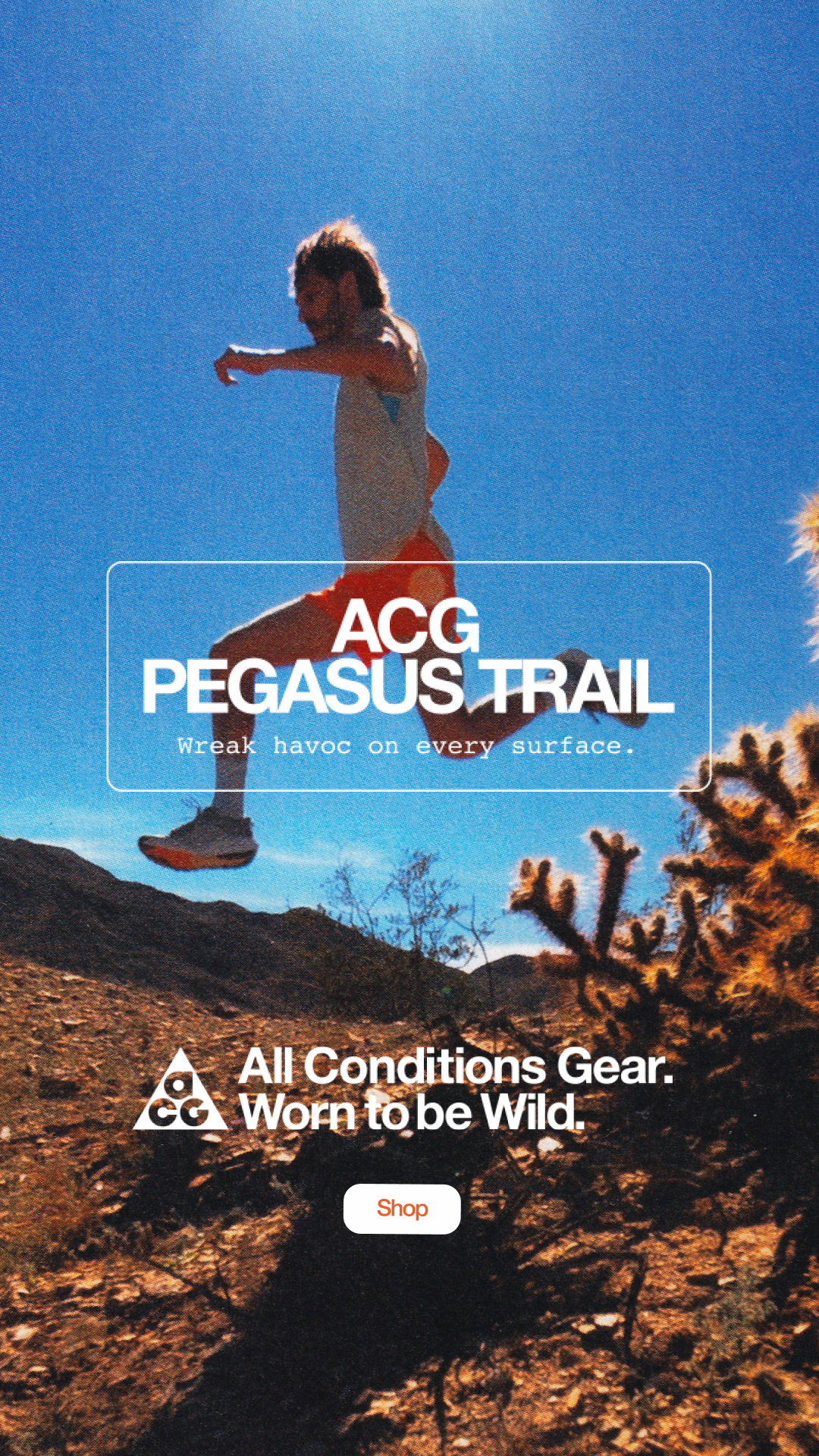 REI Facebook ad
