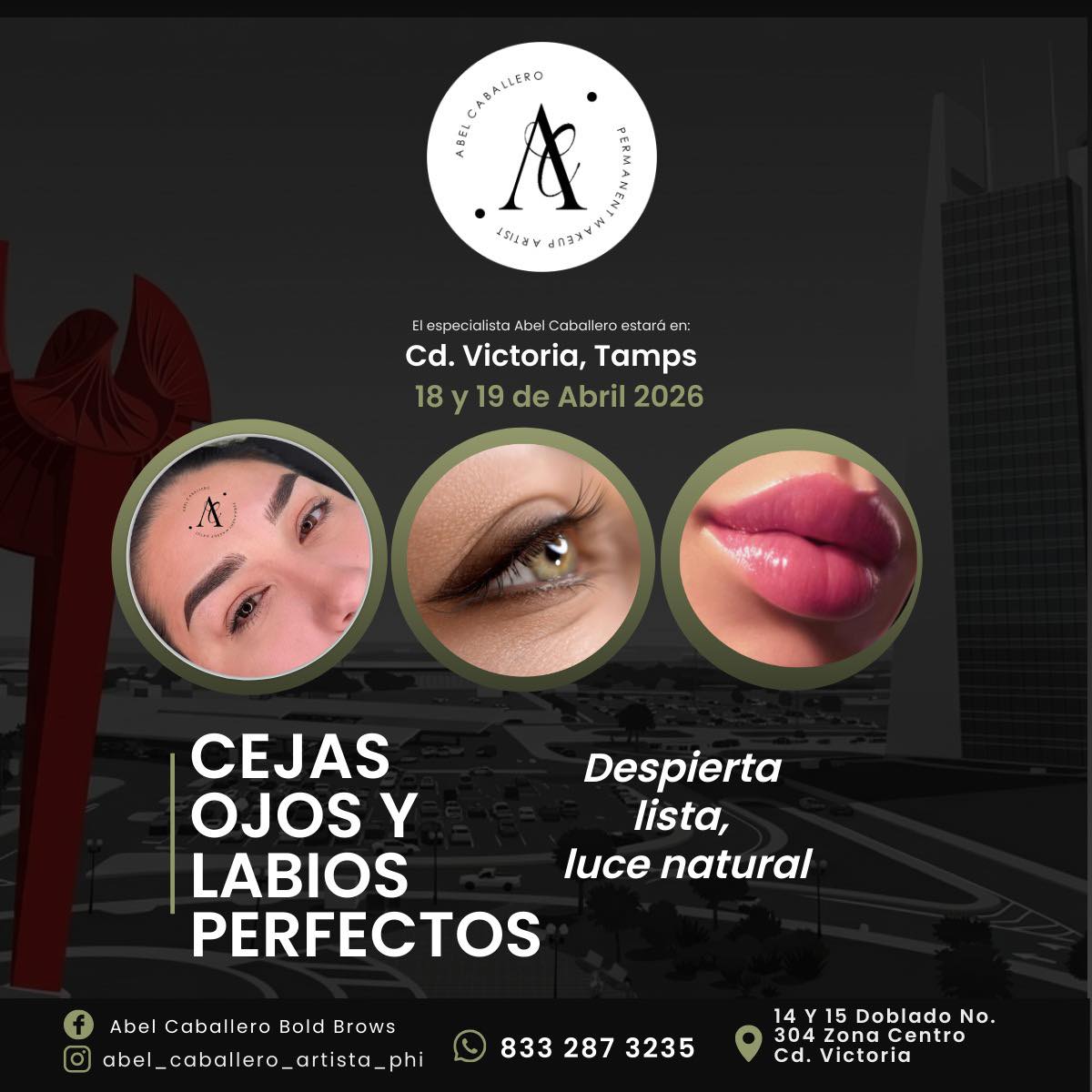 Abel Caballero Phibrows Boldbrows y PowderBrows Facebook ad: Clientas y chicas interesadas en Cejas Perfectas