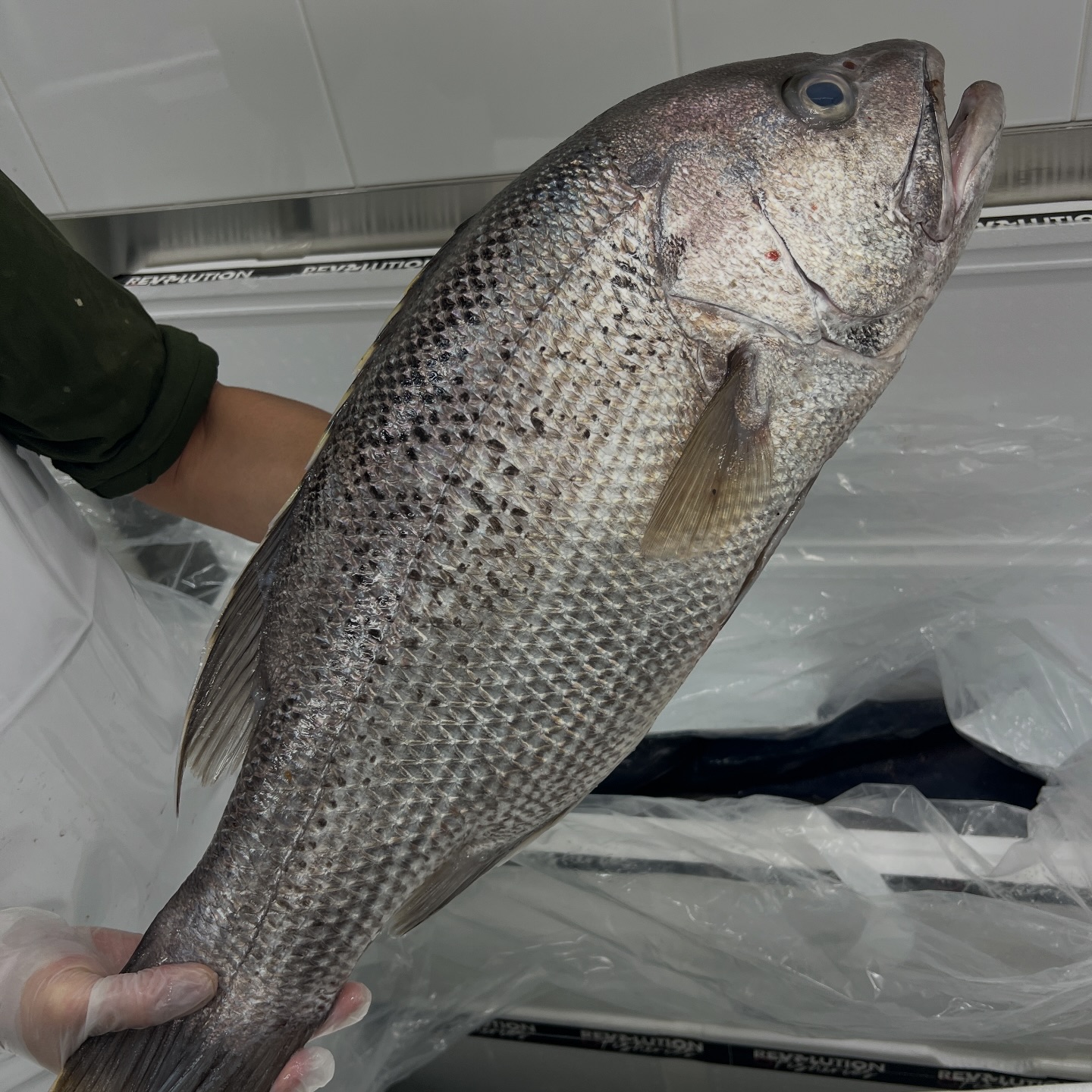 Astakos Fish Market Facebook ad