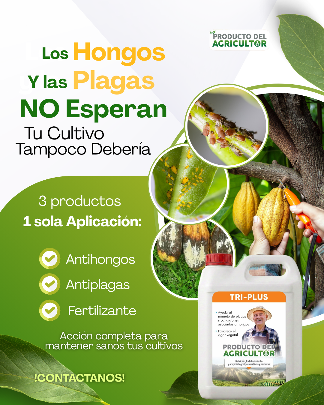 Soluciones para el AGRO Facebook ad: Protege tus Cultivos