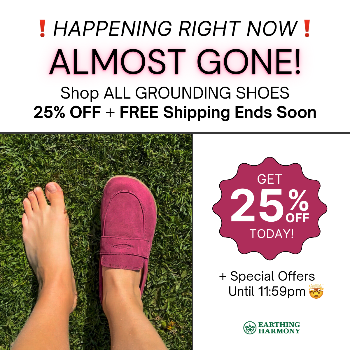 Earthing Harmony Facebook ad