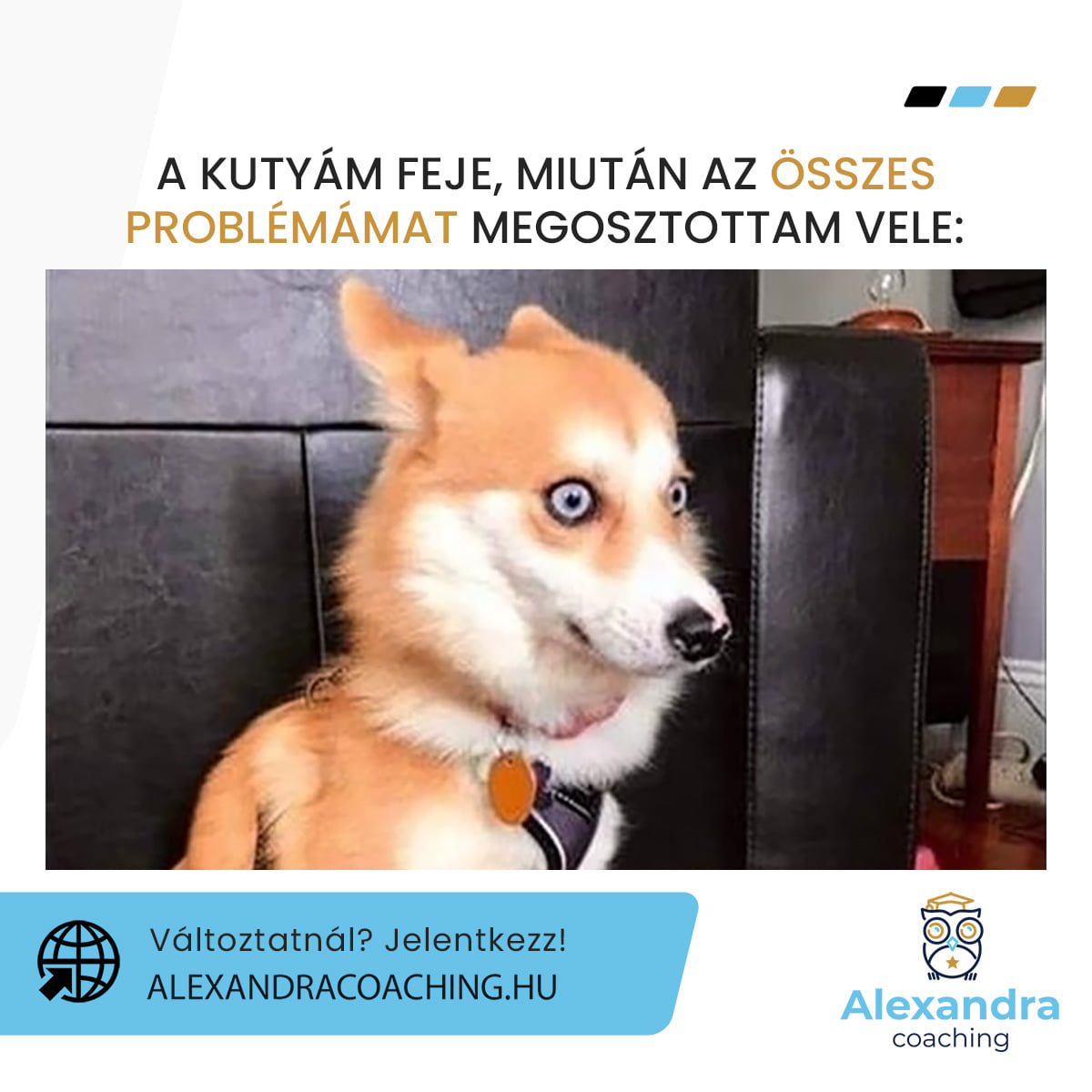 Alexandra coaching: karrier, vezetői és life coaching Facebook ad