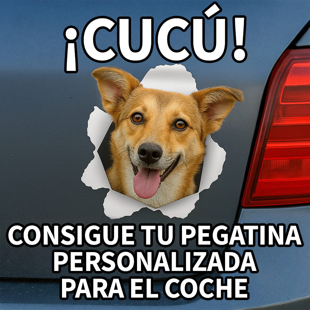 Pet Printed Facebook ad: Idea de regalo para el Día del Padre