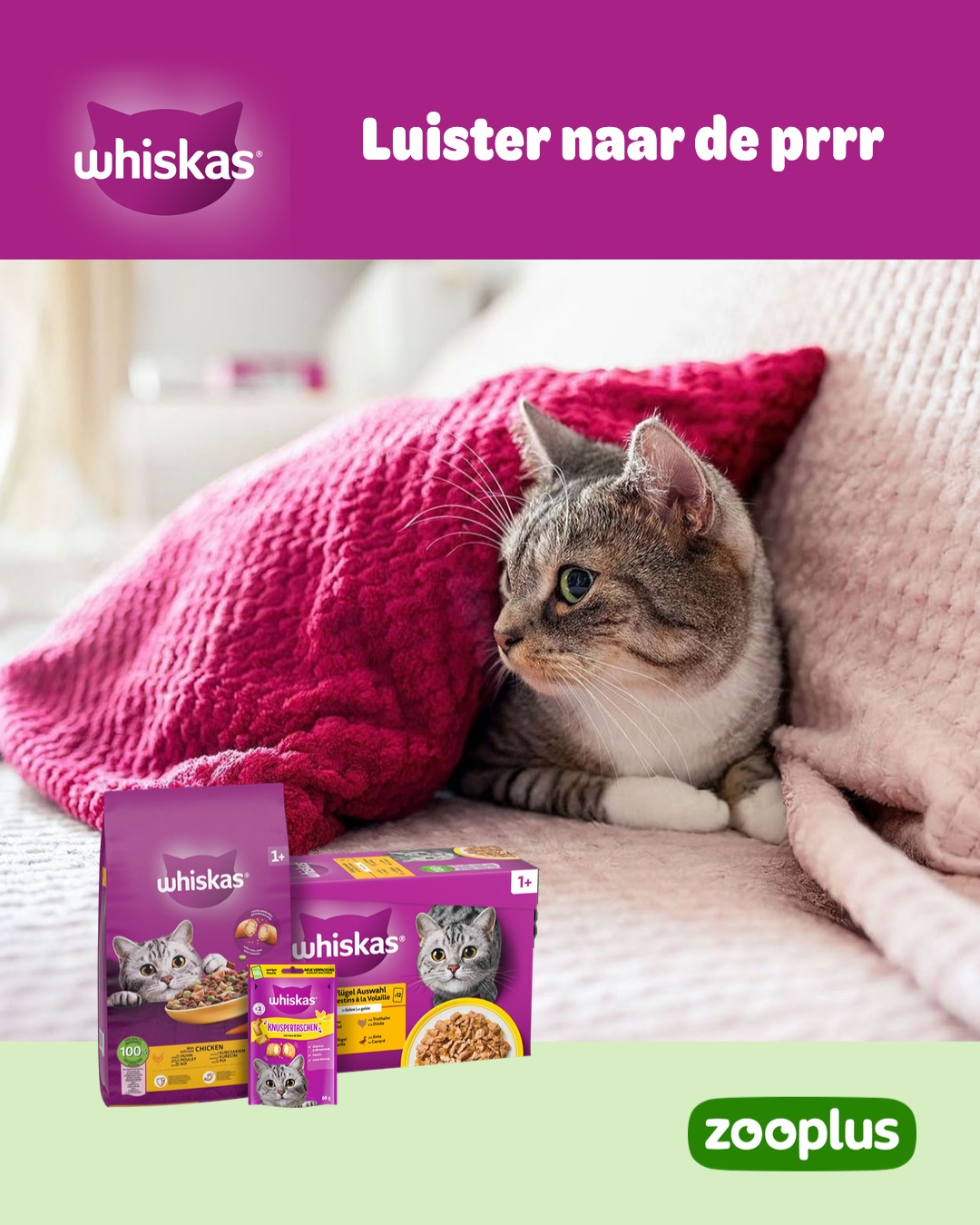 zooplus Facebook ad: WHISKAS