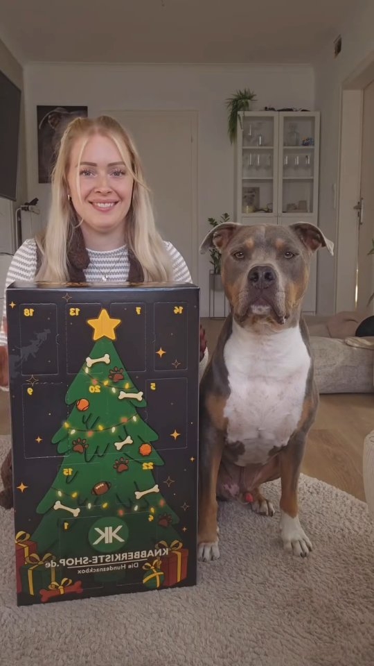 Knabberkiste Facebook ad: Adventskalender für Hunde völlig übertrieben?