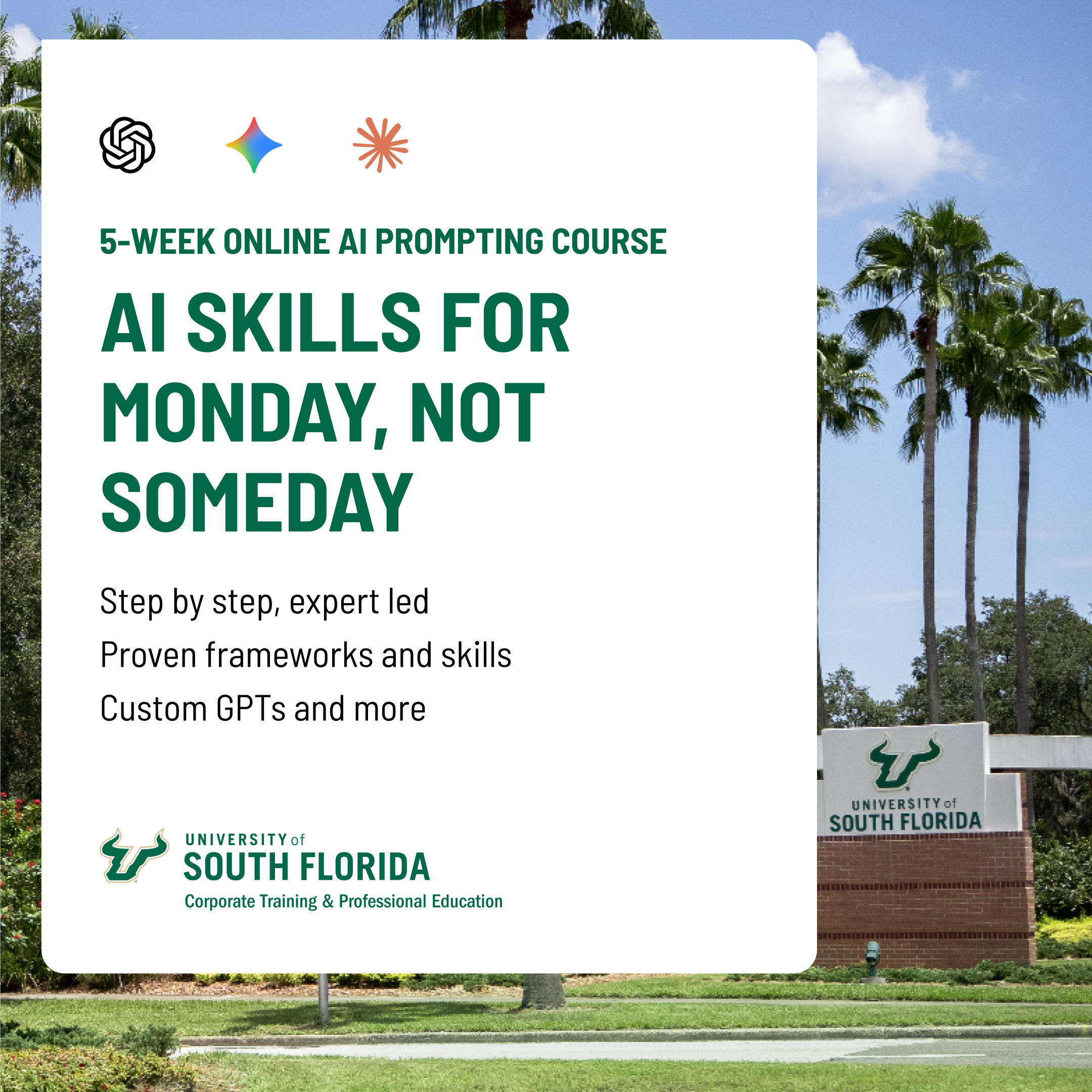 USF Corporate Training and Professional Education Online Certificates Facebook ad