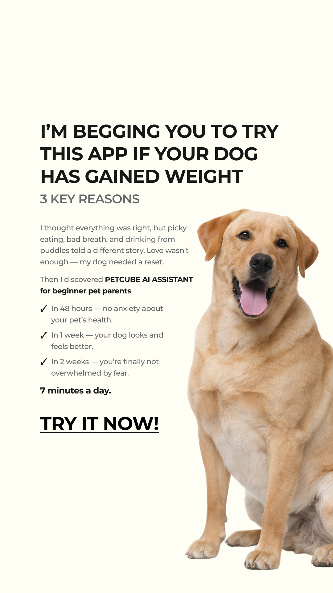 Petcube Facebook ad