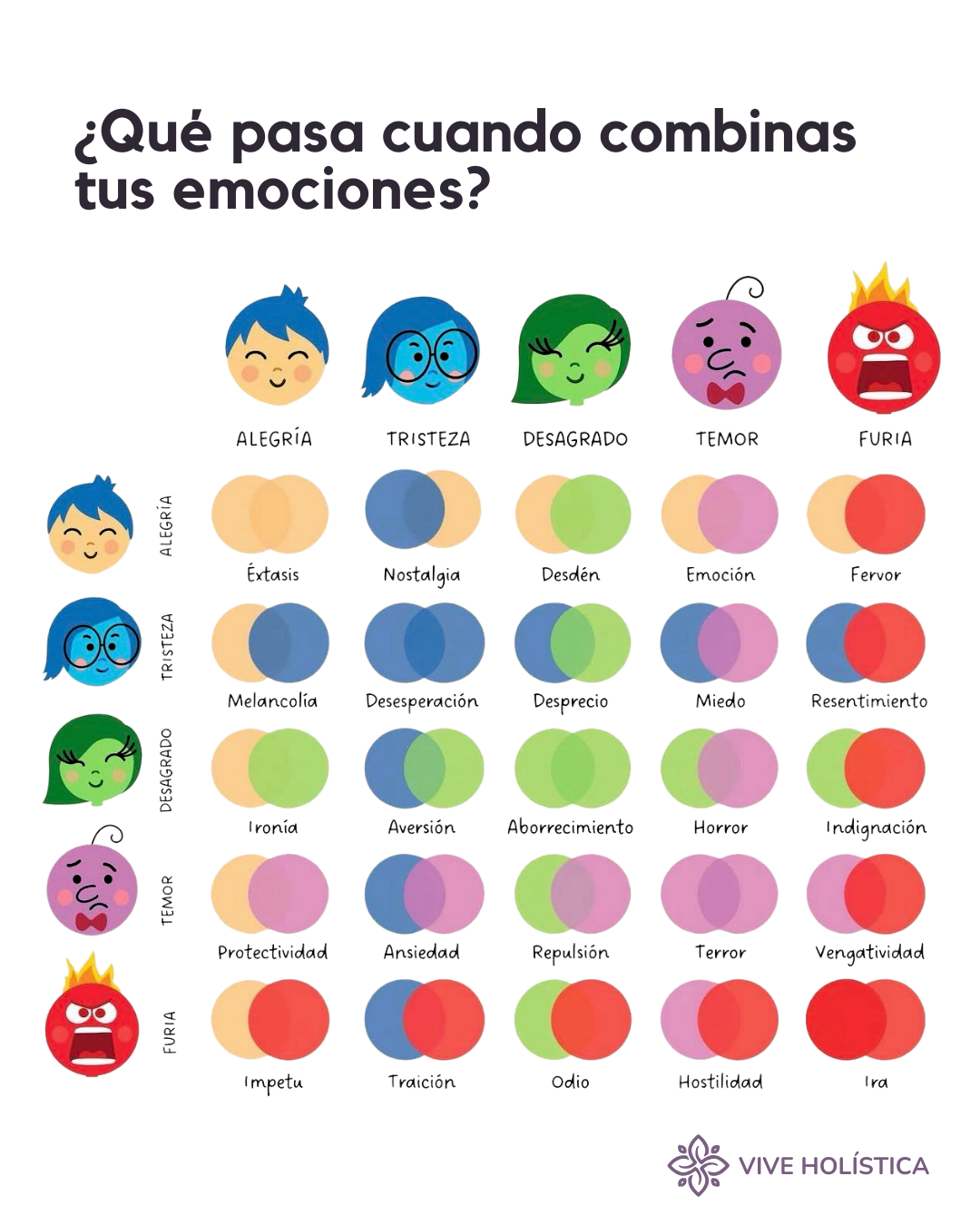 Vive Holística Facebook ad: Síguenos y empieza a conocerte mejor.