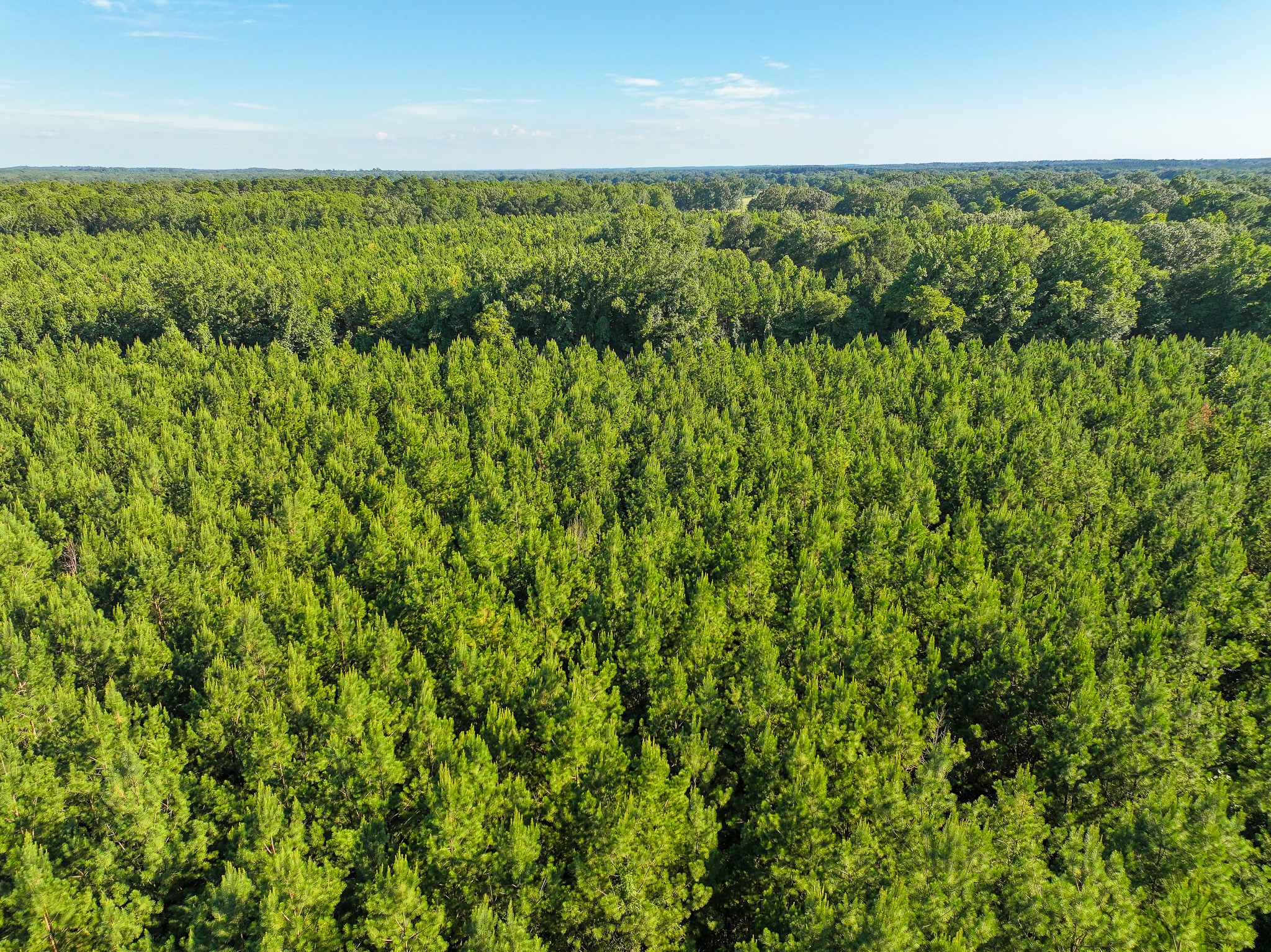 DDK Forestry & Real Estate Facebook ad: We've got NEWS!