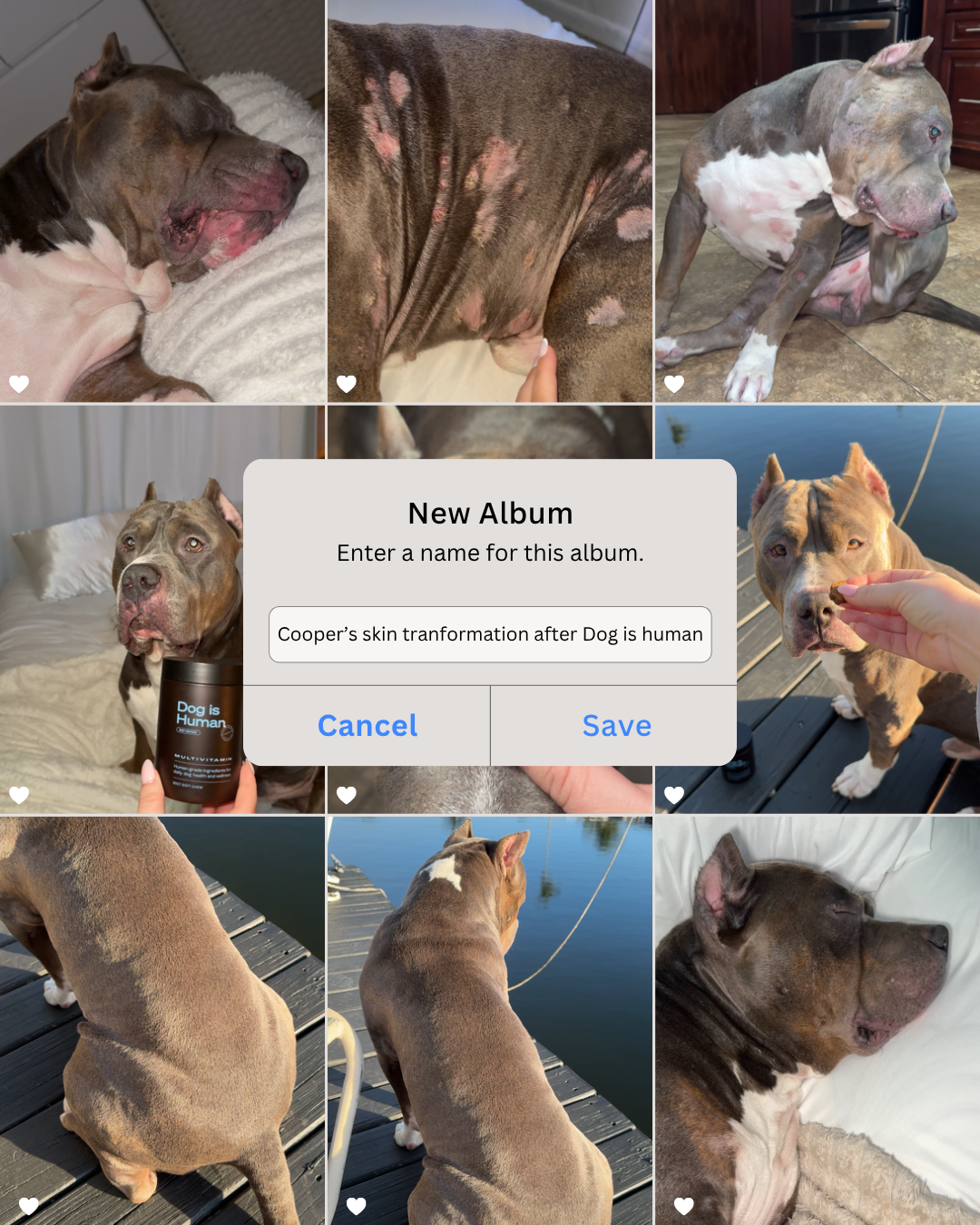 Dog is Human Facebook ad
