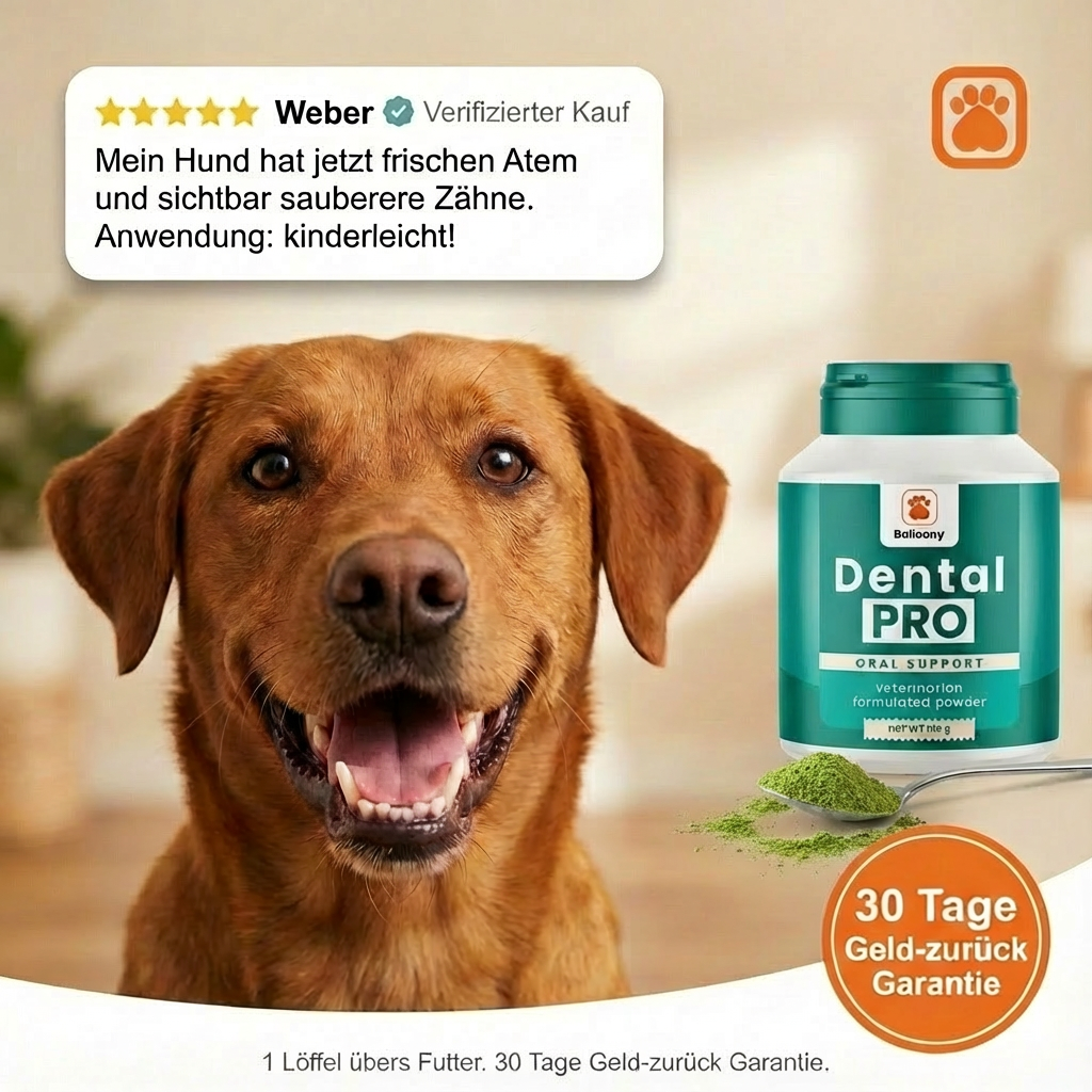 Balloony.pet Facebook ad